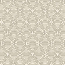 art-0183-floweroflifedove