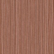 art-0220-zebra-mangrove