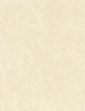 nob-16-putty6