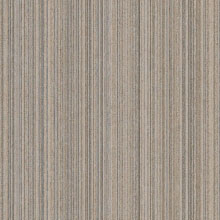 vs-5862-b-vert-pearl-greige