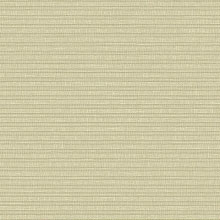 vs-6076-d-horz_grass_cloth