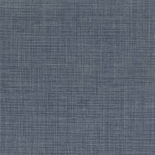 9738-2b-tanpp1