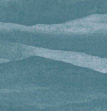 VS-11004