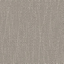 art-0239-crinkle