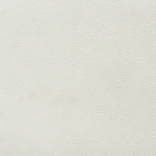 e534-pebble