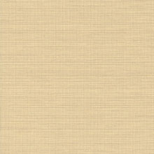 sat-02