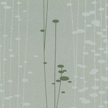 usv2_shm_10