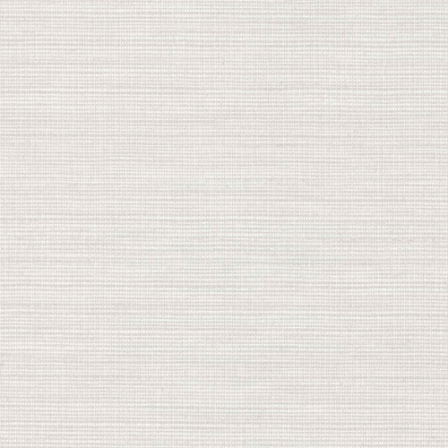 Sato: SATO - Oyster